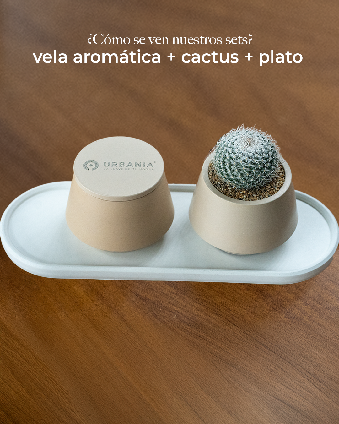 Set de vela arámatica, charola y maceta con planta