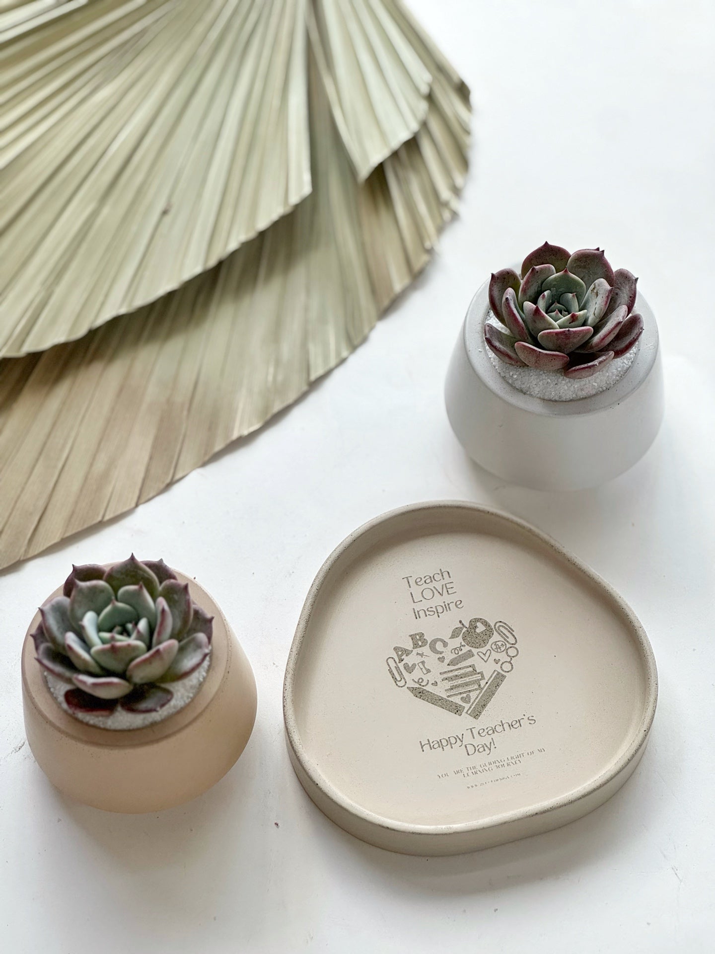 50 Macetas Harper mini con plantas para bolos