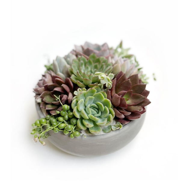 Maceta bowl grande