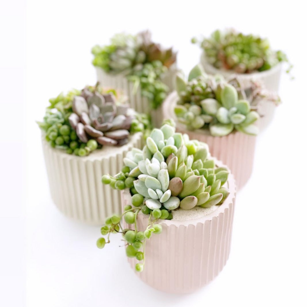 Souvenir bouquet
