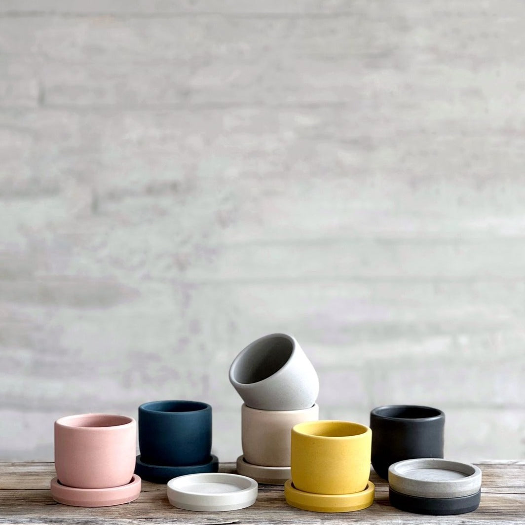 10 Macetas Tulip con plato