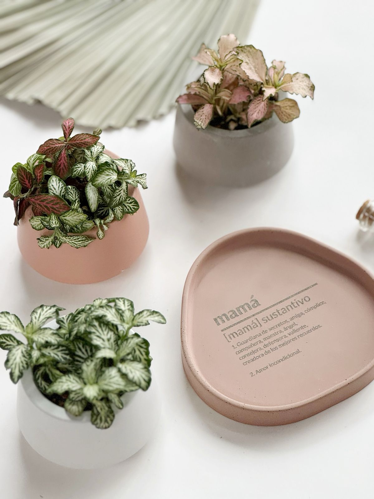 Set Tiffany: Día de la Madre