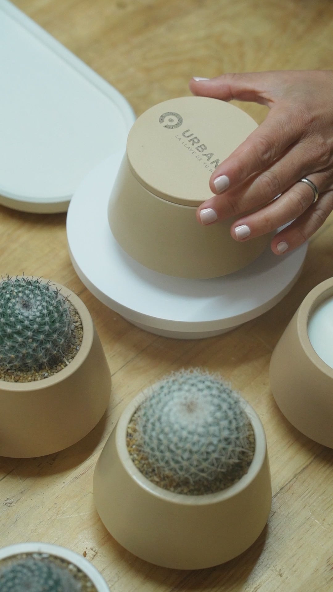 Set de vela arámatica, charola y maceta con planta