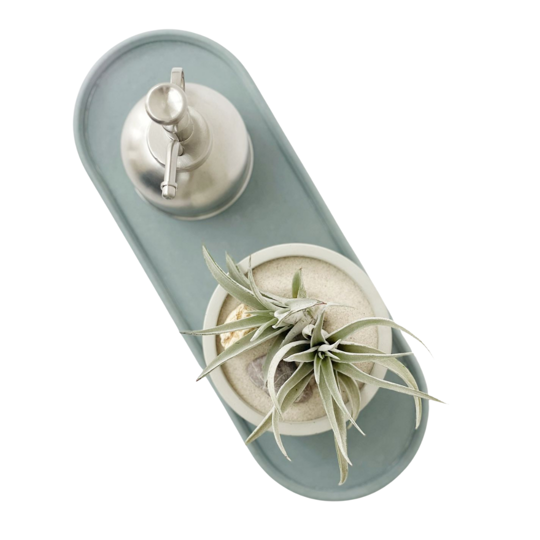 Kit charola, rociador y maceta con plantas de aire