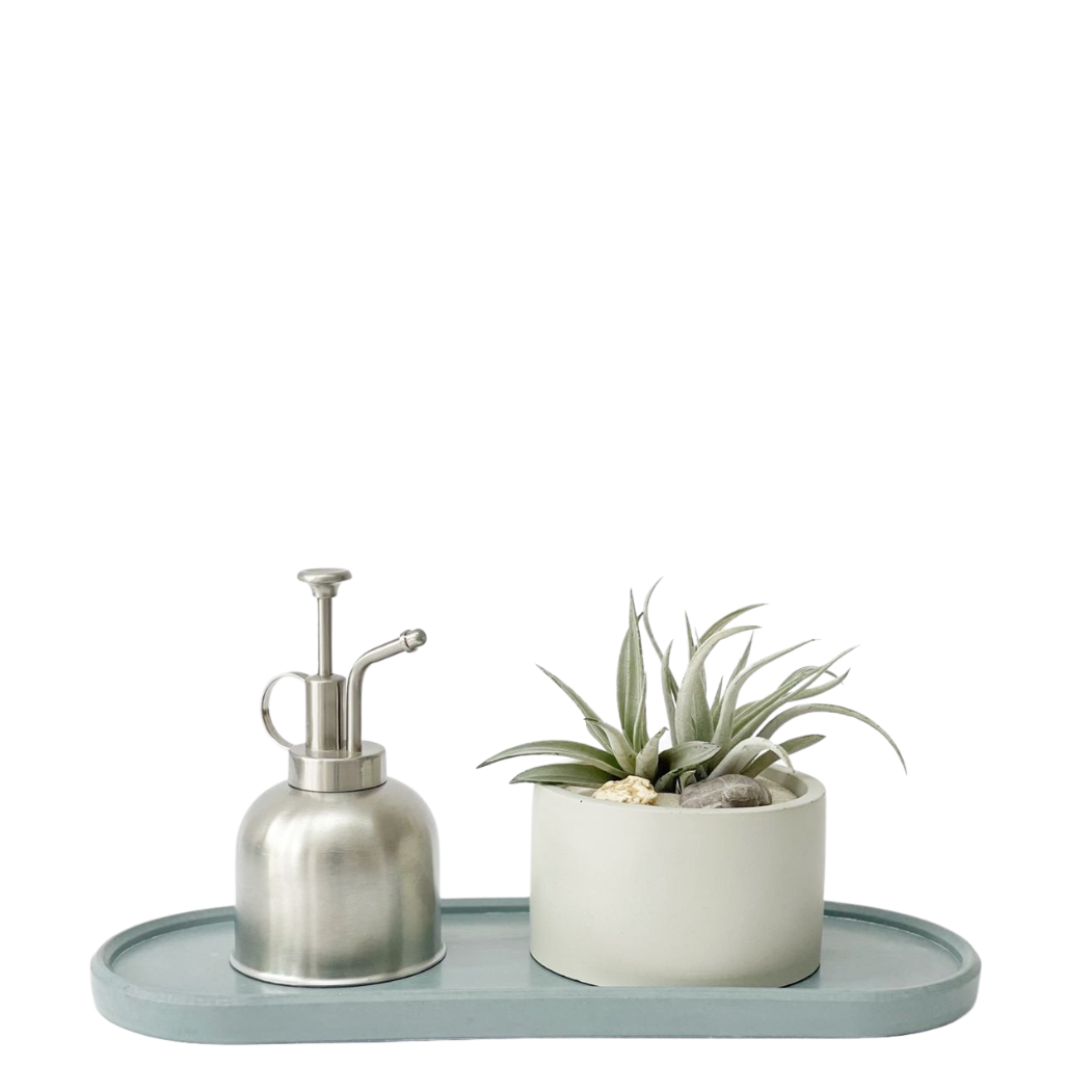 Kit charola, rociador y maceta con plantas de aire