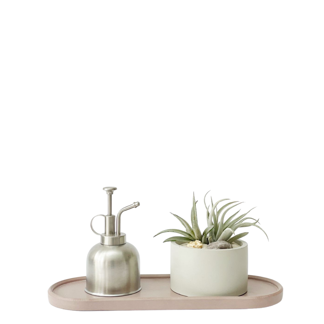 Kit charola, rociador y maceta con plantas de aire
