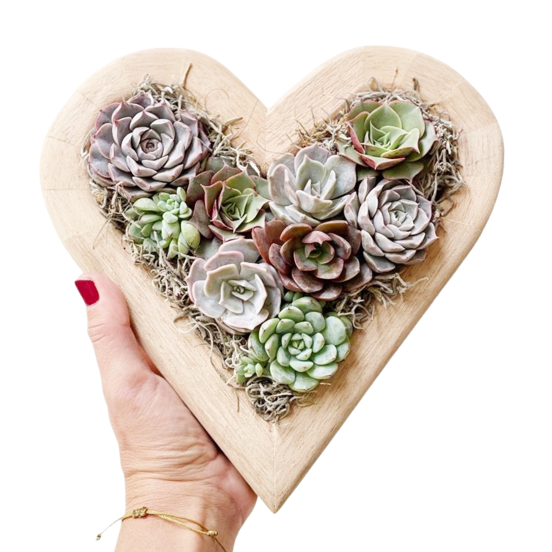 Corazón de madera con suculentas