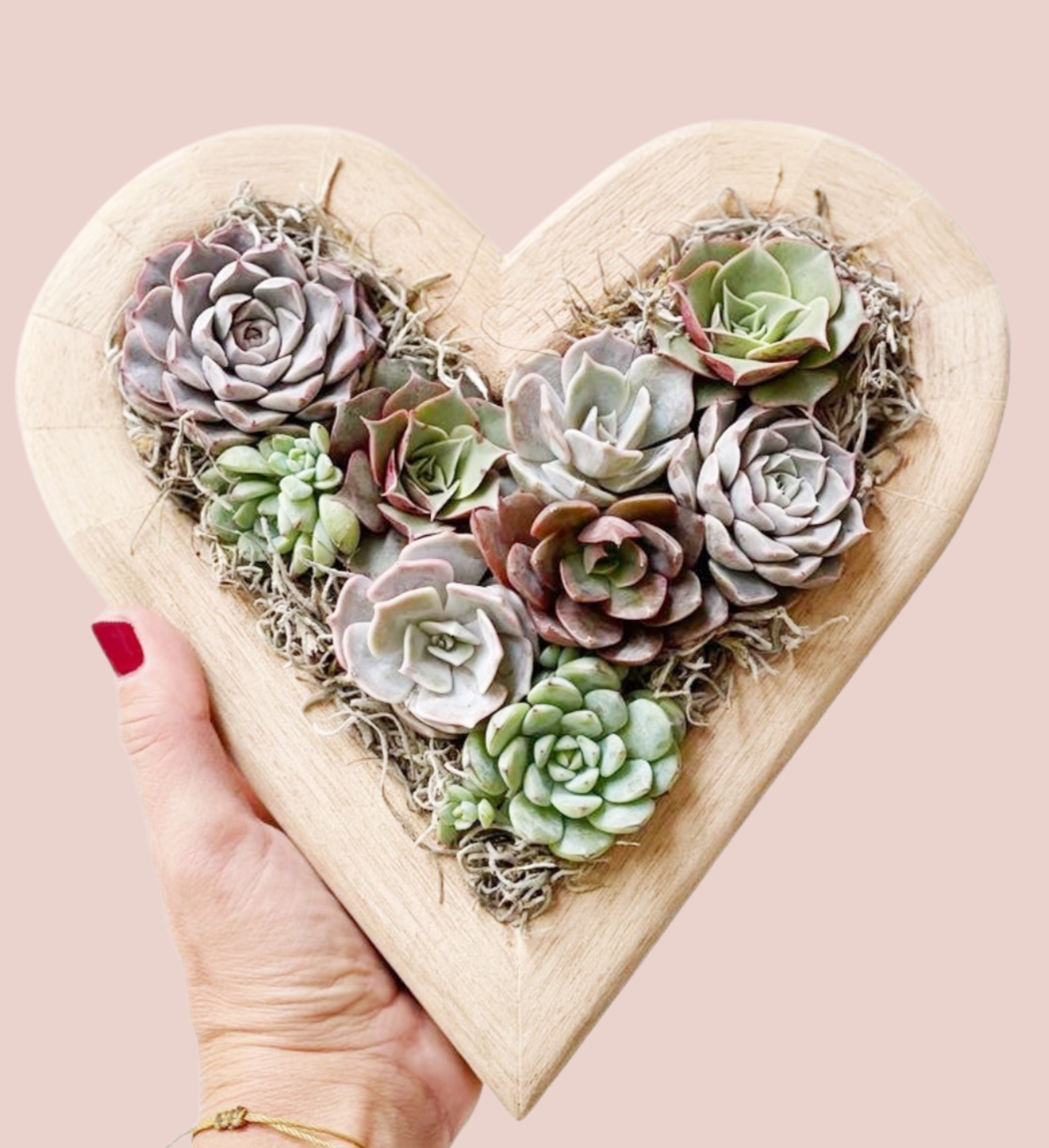 Corazón de madera con suculentas