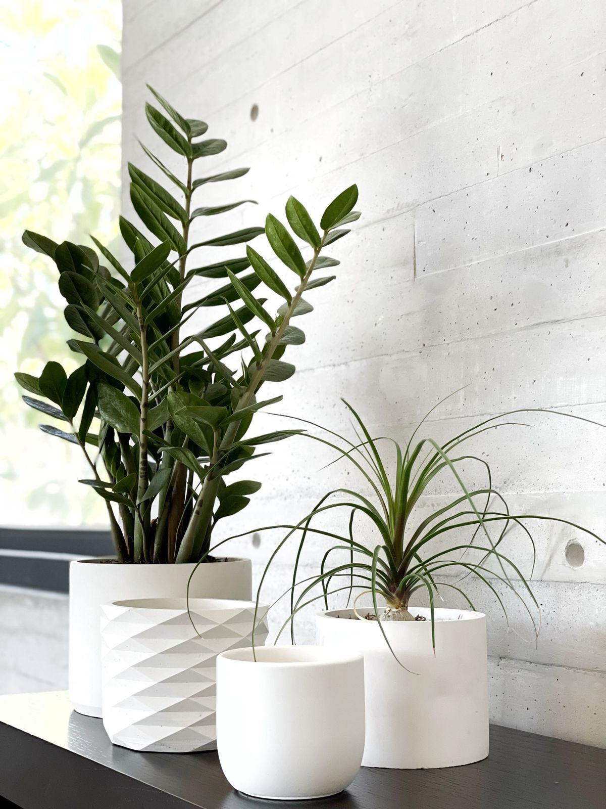 Taller Completo de Técnicas en Concreto: VIRTUAL