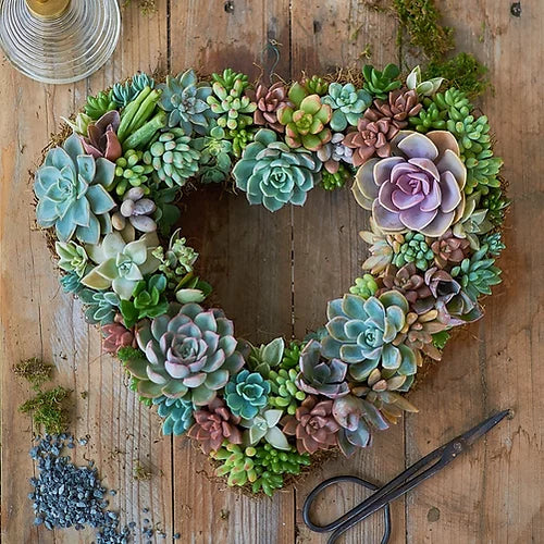 Corona de corazón con suculentas