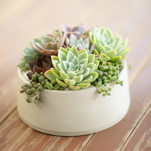 Centro de mesa redondo