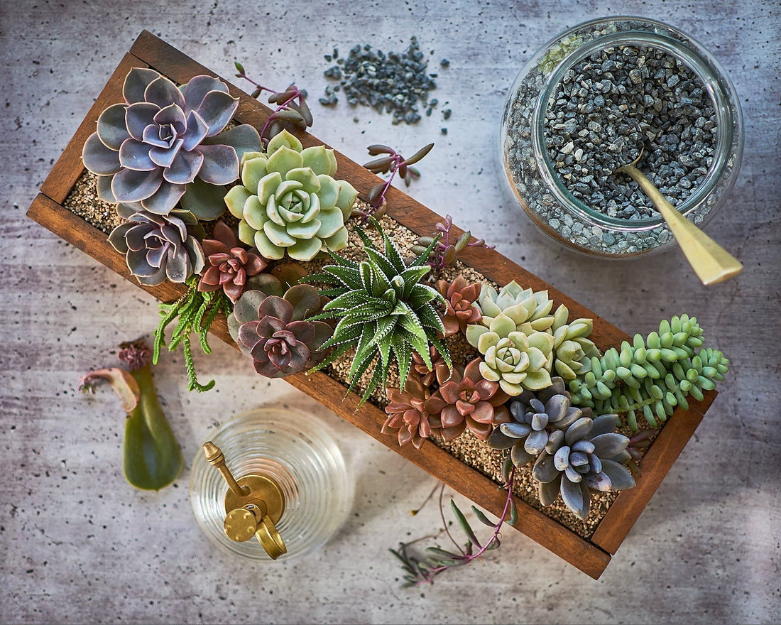 Volver siempre a lo esencial.