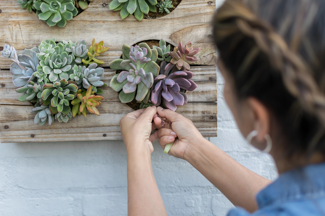 Descubre los 5 secretos para LIBERAR tu creatividad a través del diseño.