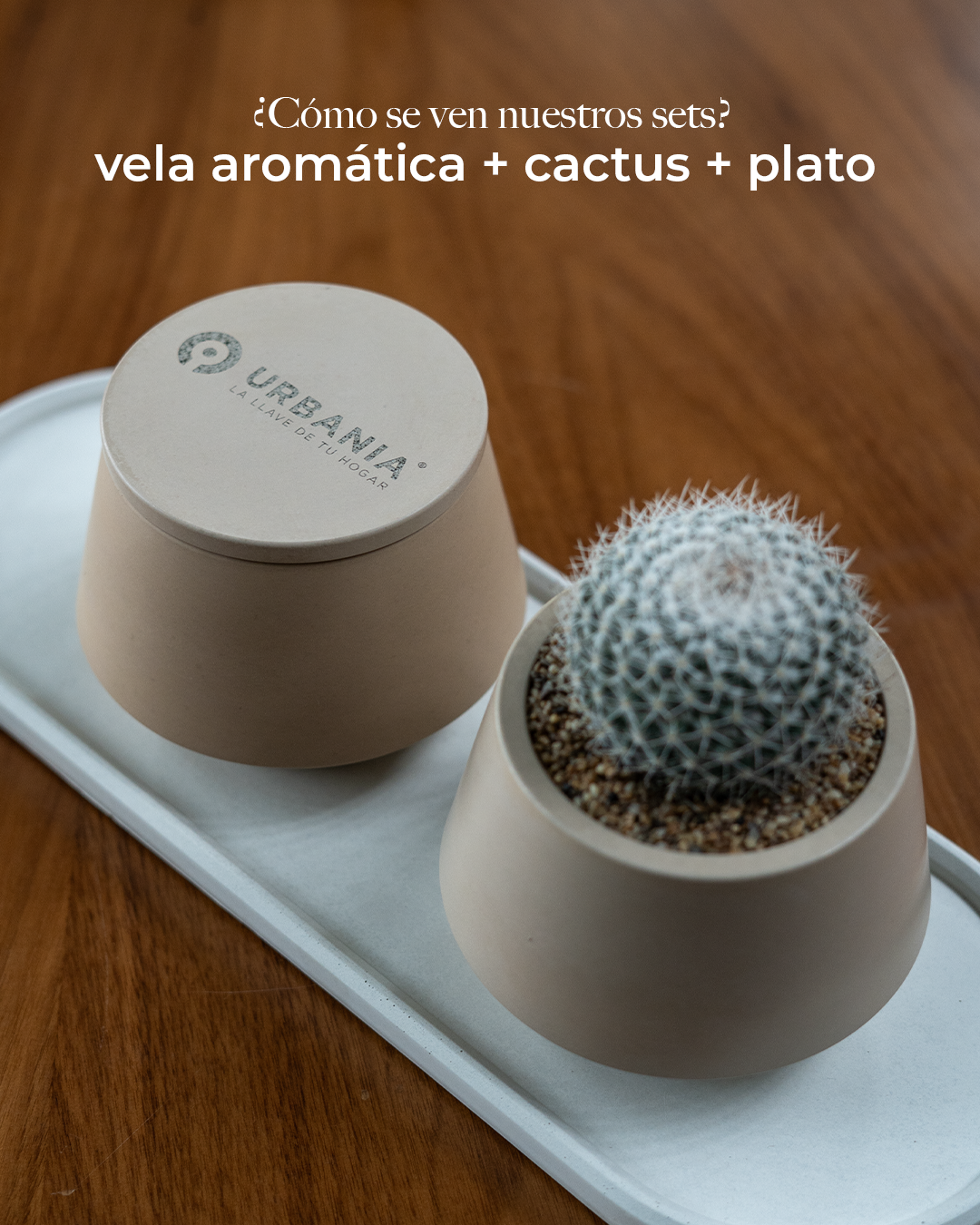 Set de vela arámatica, charola y maceta con planta