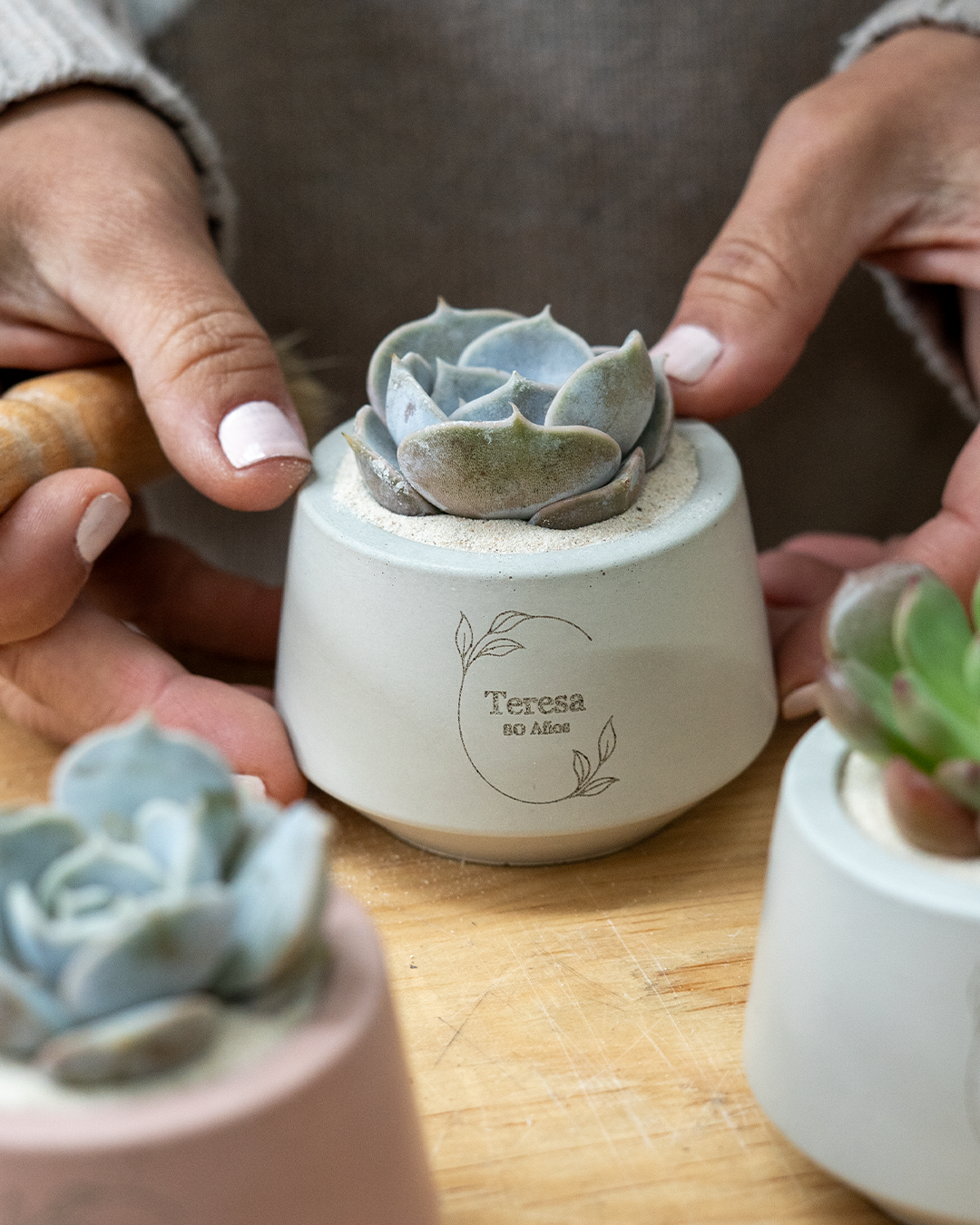 50 Macetas Harper mini con plantas para bolos