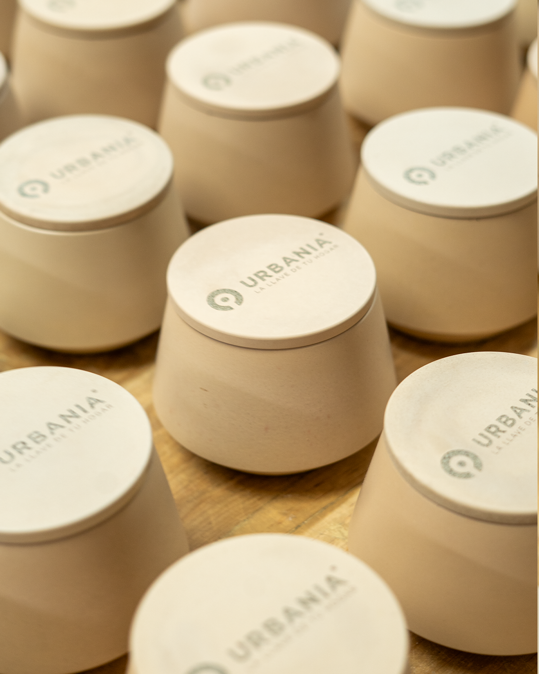 Set de vela arámatica, charola y maceta con planta