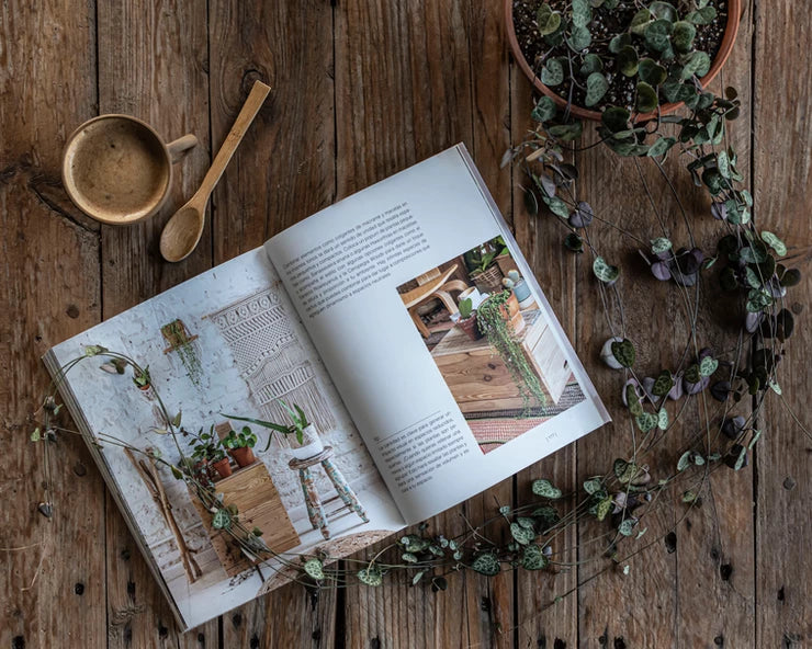 El Arte de Crear con Suculentas: E-book