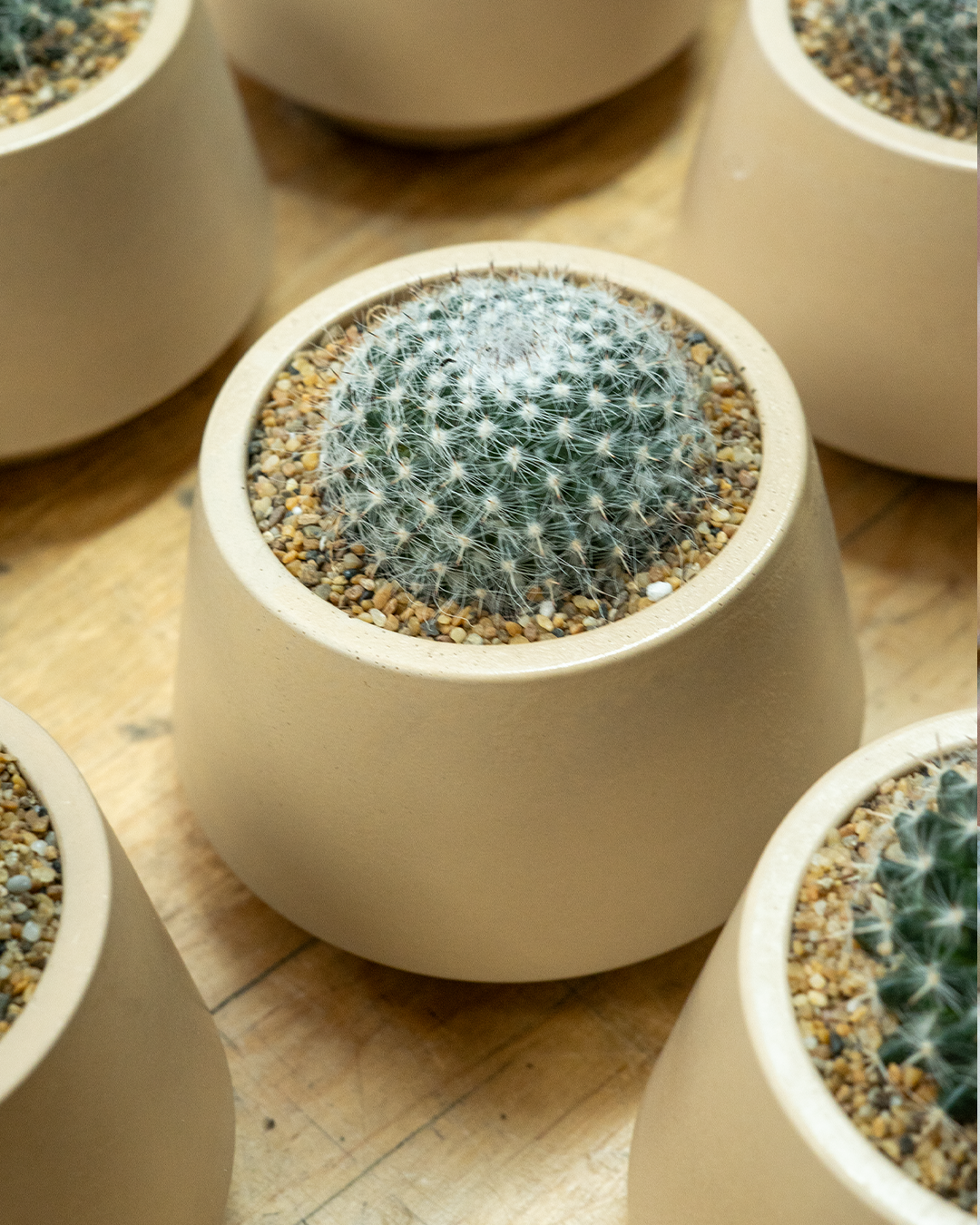 Set de vela arámatica, charola y maceta con planta