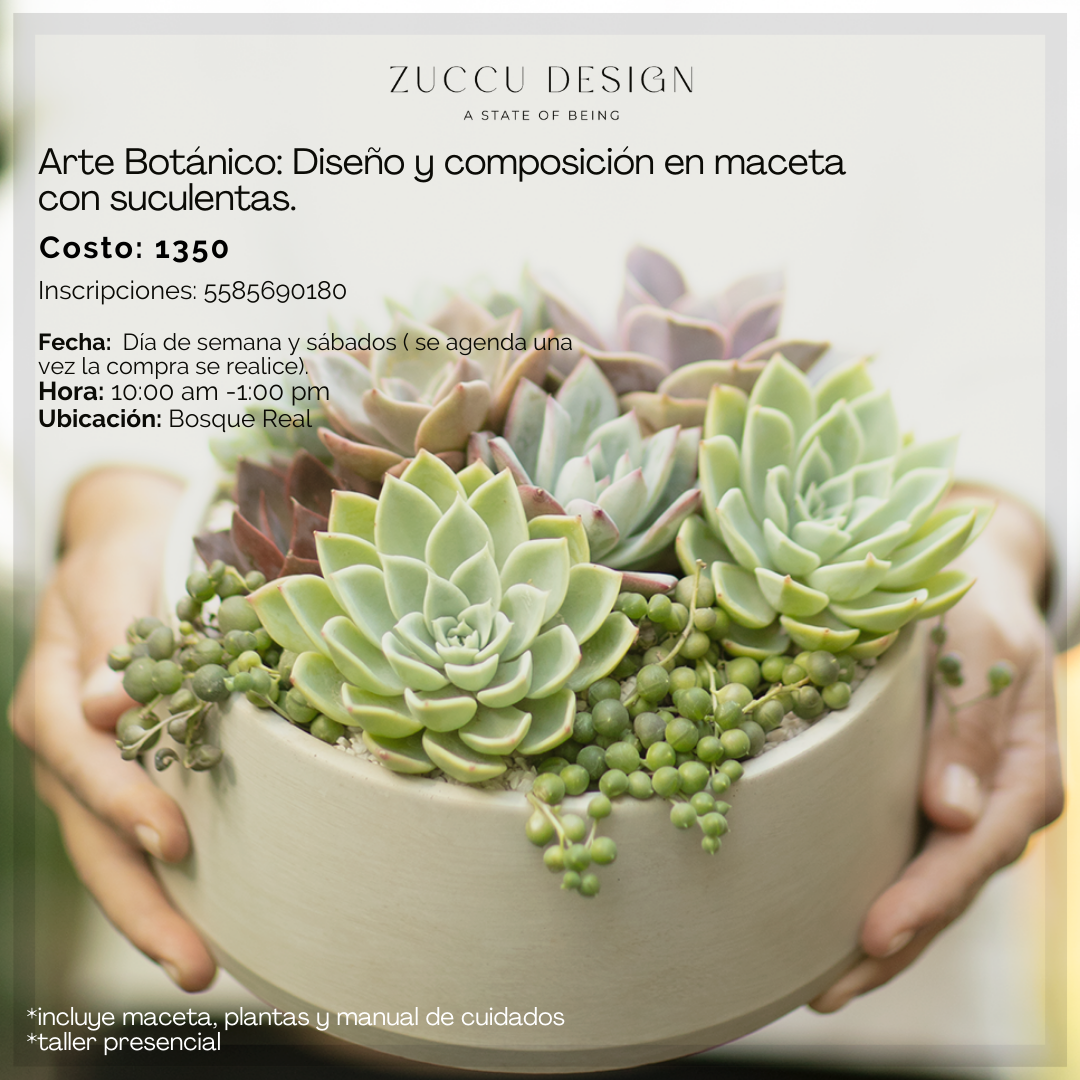 Taller Arte Botánico: Diseño y composición en maceta con suculentas.