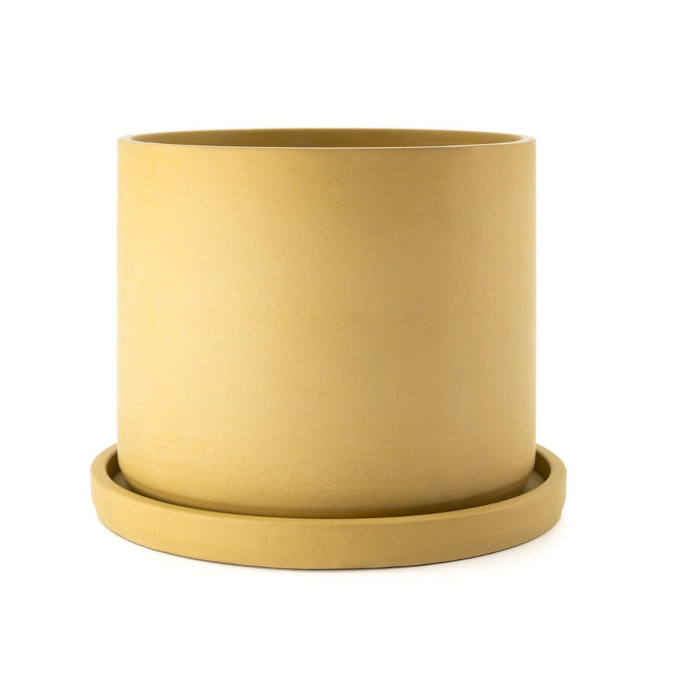 Jardín desértico en cilindro