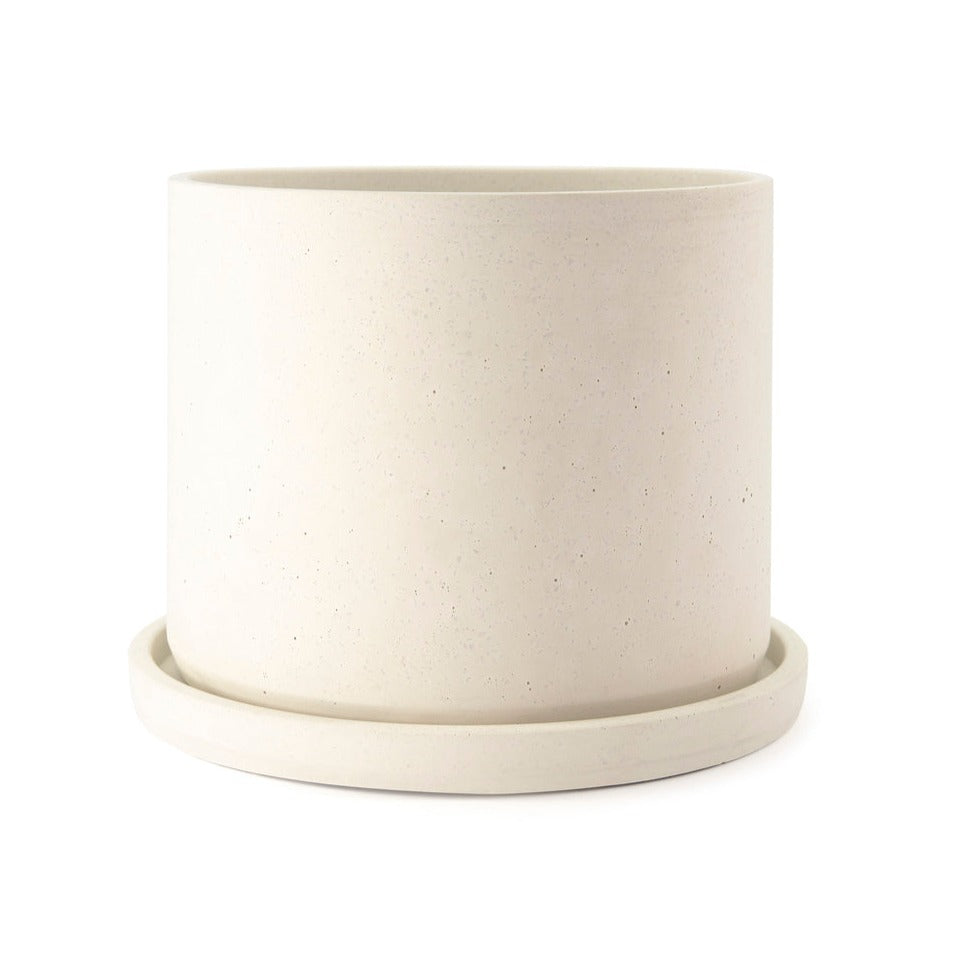 Jardín desértico en cilindro