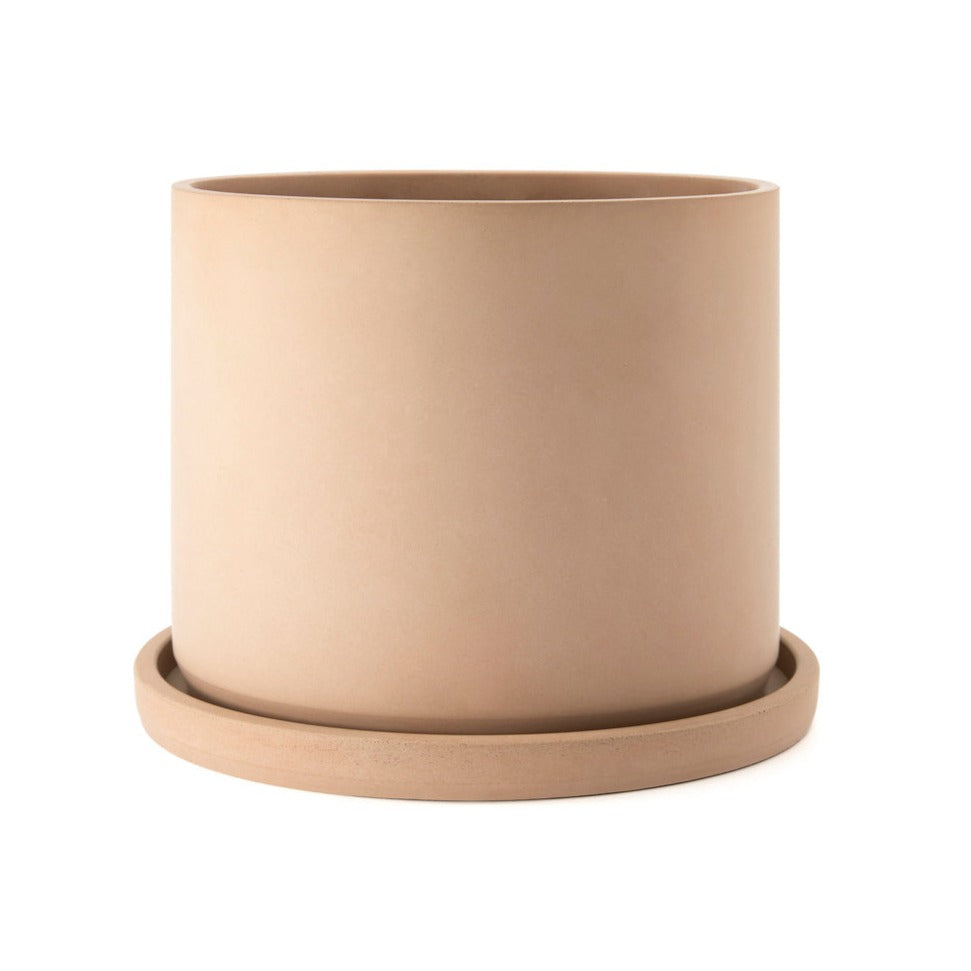 Jardín desértico en cilindro