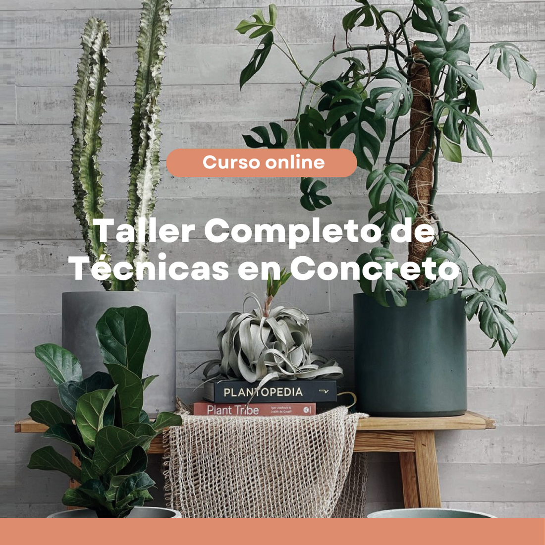 Taller Completo de Técnicas en Concreto: VIRTUAL