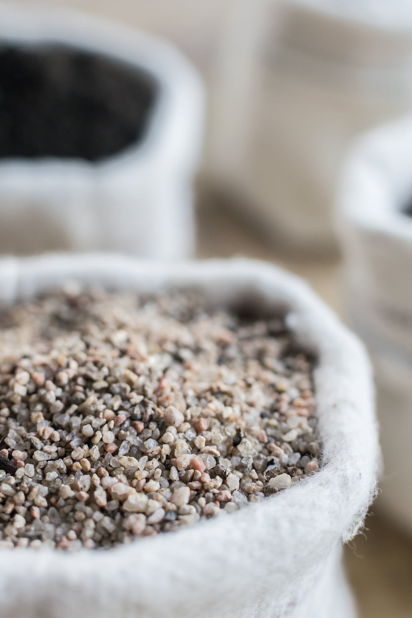 Sustrato/tierra para cactus y suculentas