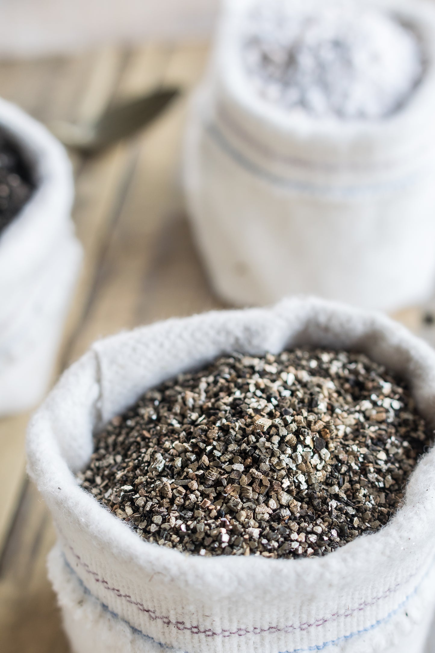 Sustrato/tierra para cactus y suculentas