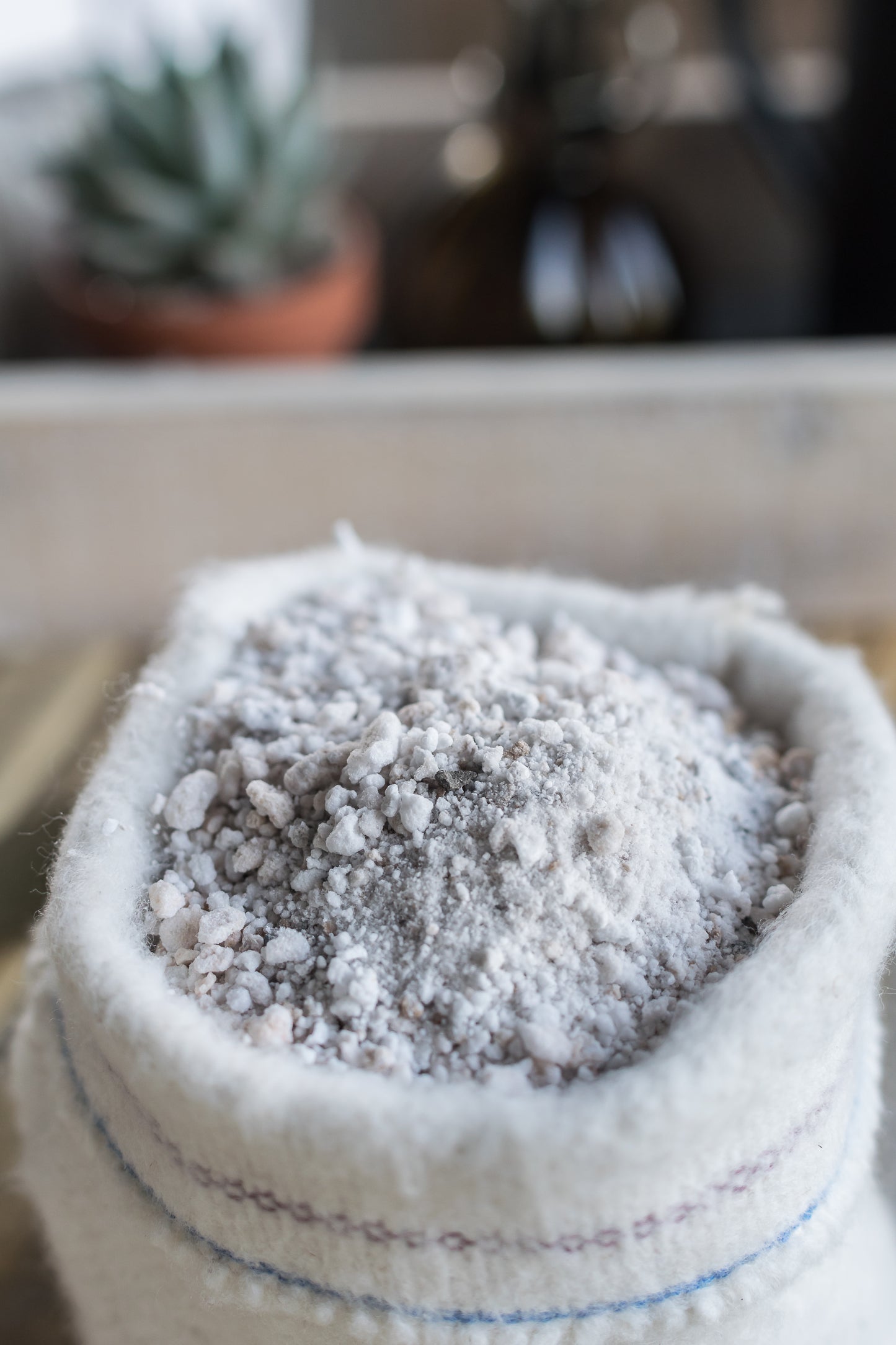 Sustrato/tierra para cactus y suculentas