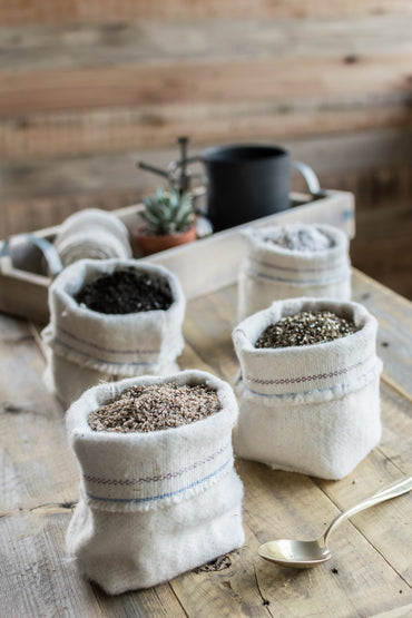 Sustrato/tierra para cactus y suculentas