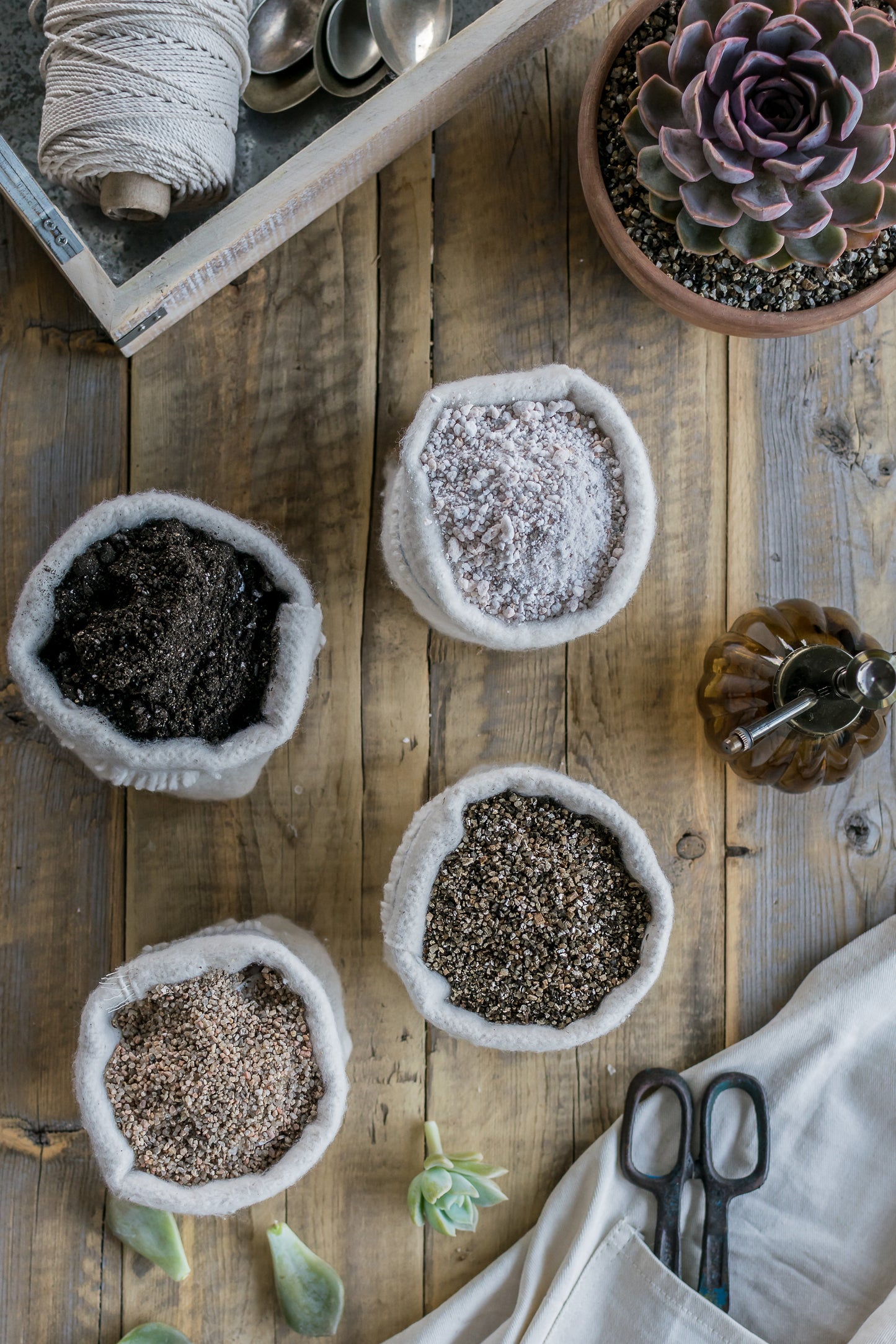 Sustrato/tierra para cactus y suculentas