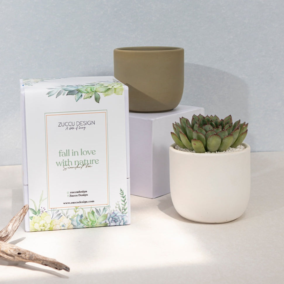 Maceta Tulip mediana