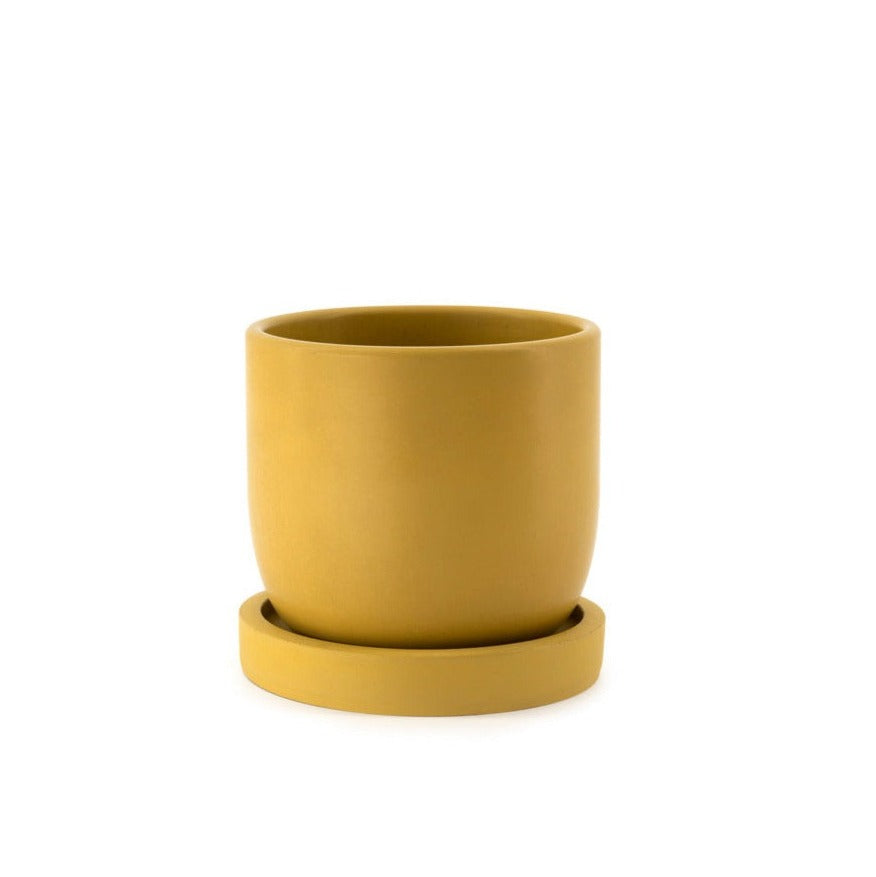 Maceta Tulip mediana