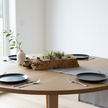 Elegancia Natural para tu Hogar: Arreglo de Tillandsias en Madera Rústica