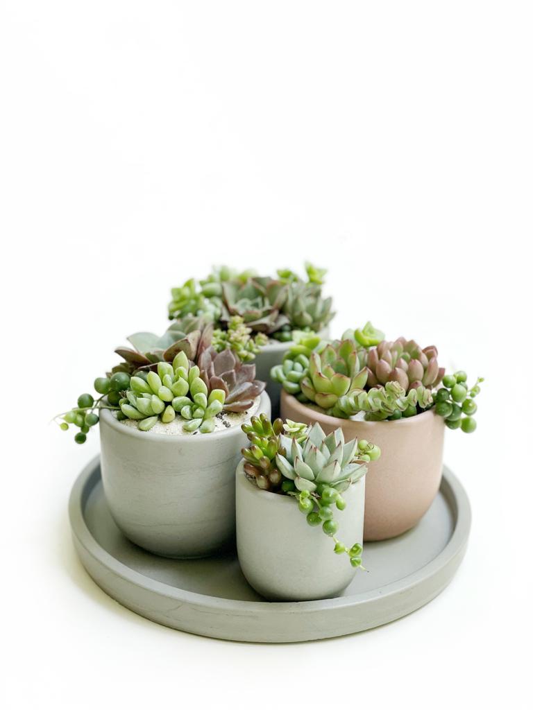 Maceta Tulip alta chica