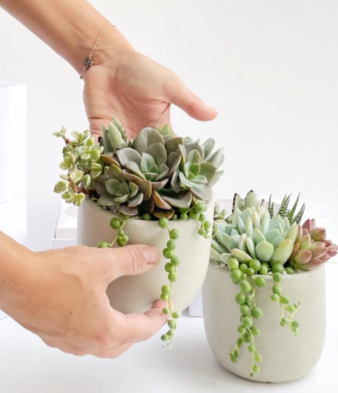 Maceta Tulip mediana