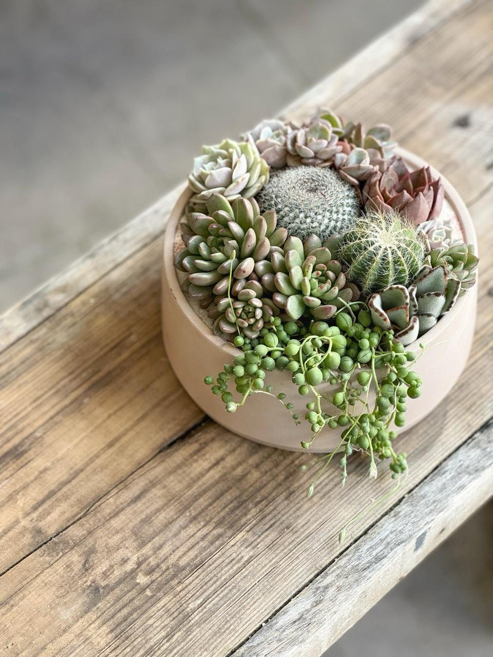 Maceta cilíndrica baja