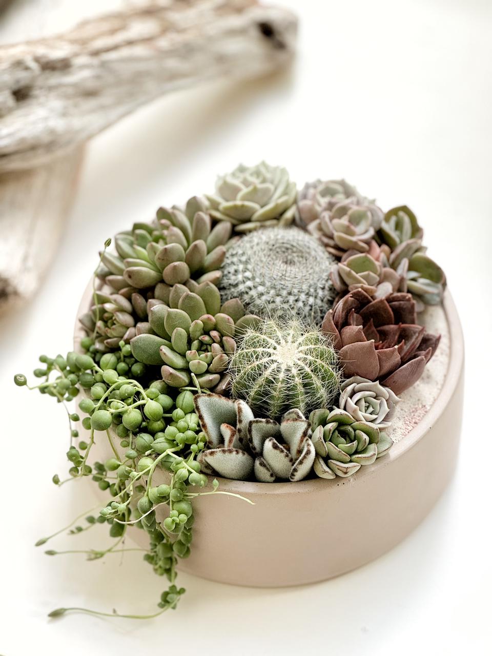 Maceta cilíndrica baja