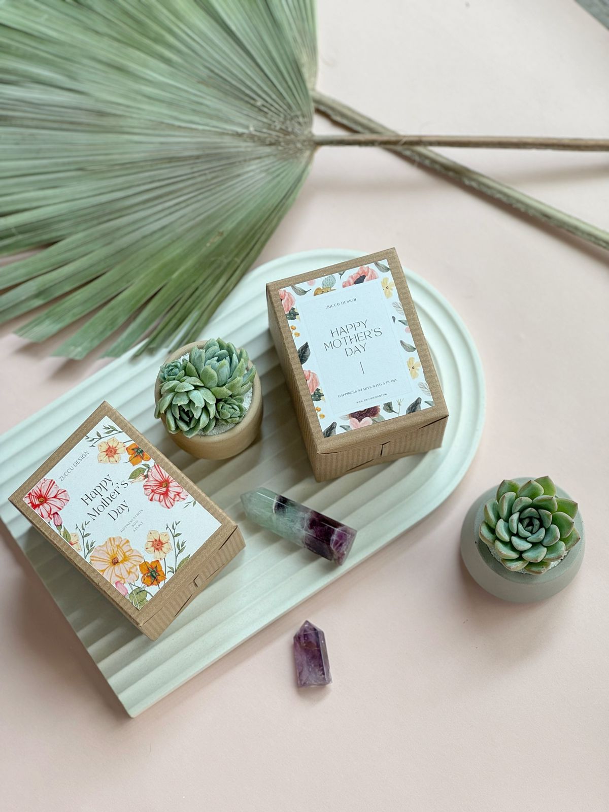 Happy Mother's Day Succulent Box