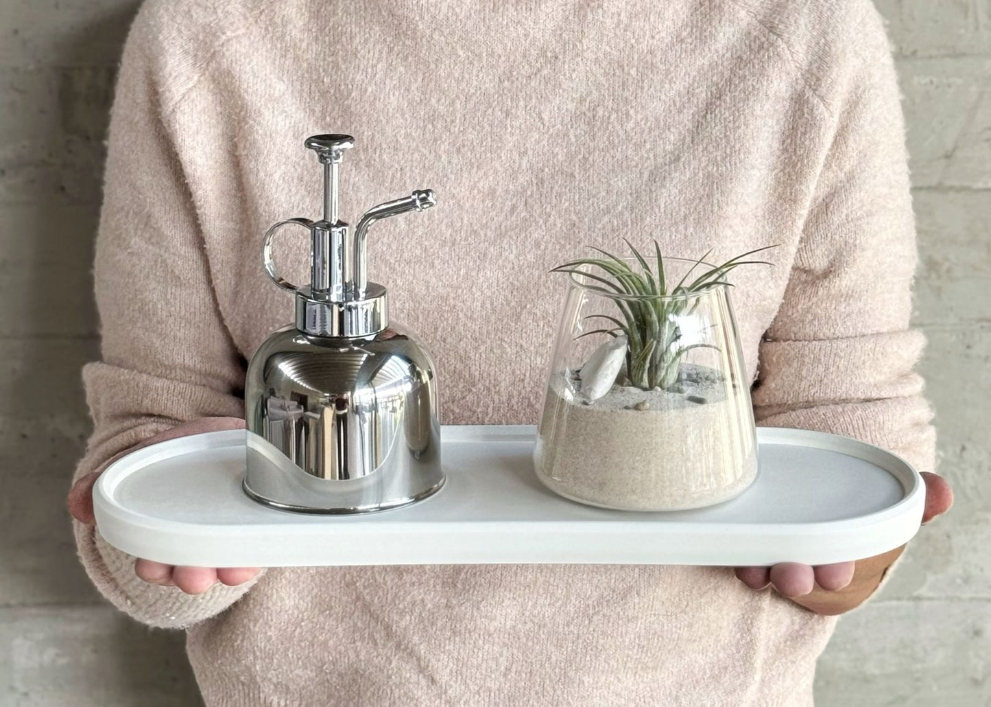 Set charola con rociador y arreglo de plantas de aire