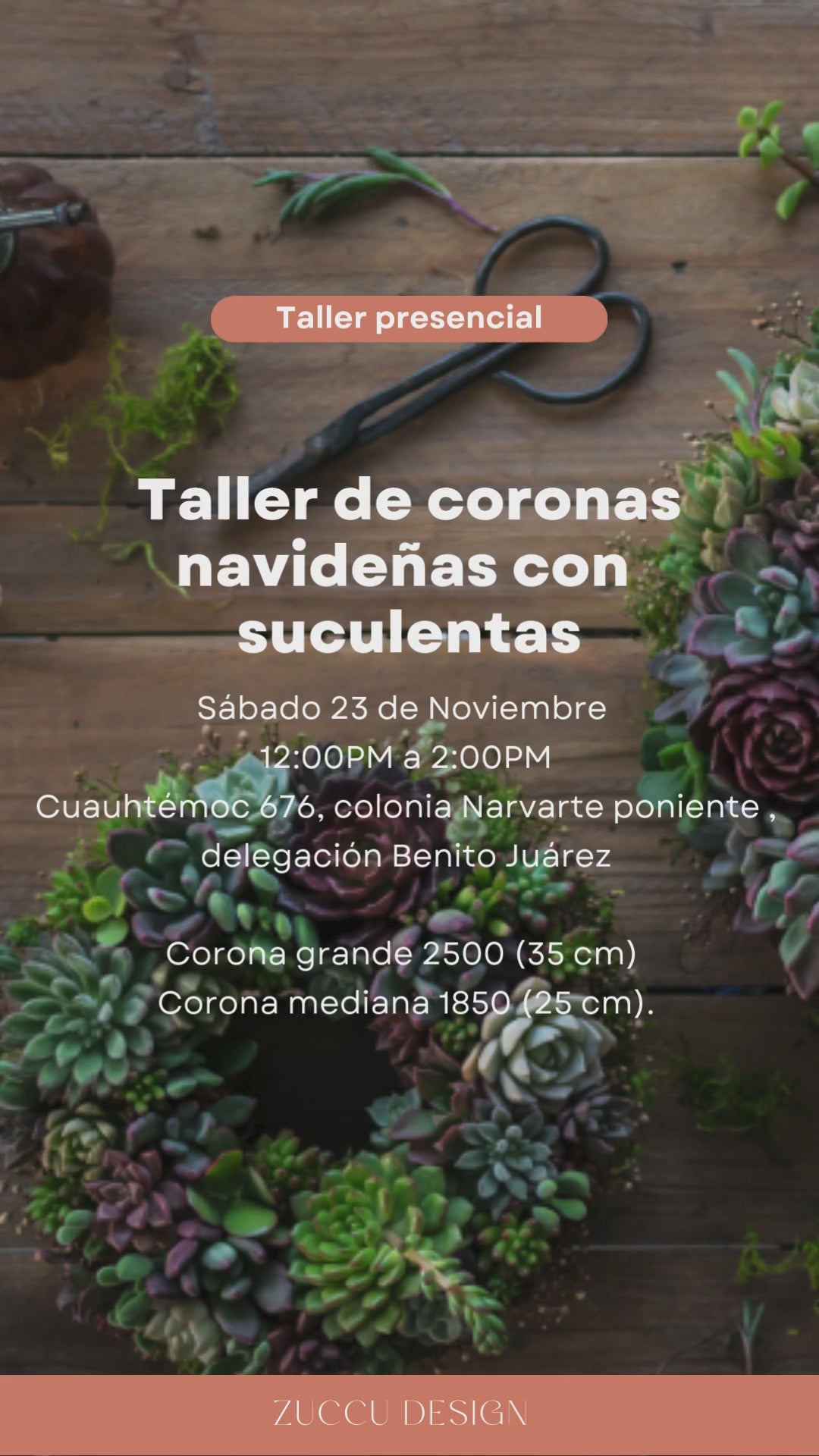 Taller coronas de navidad con suculentas