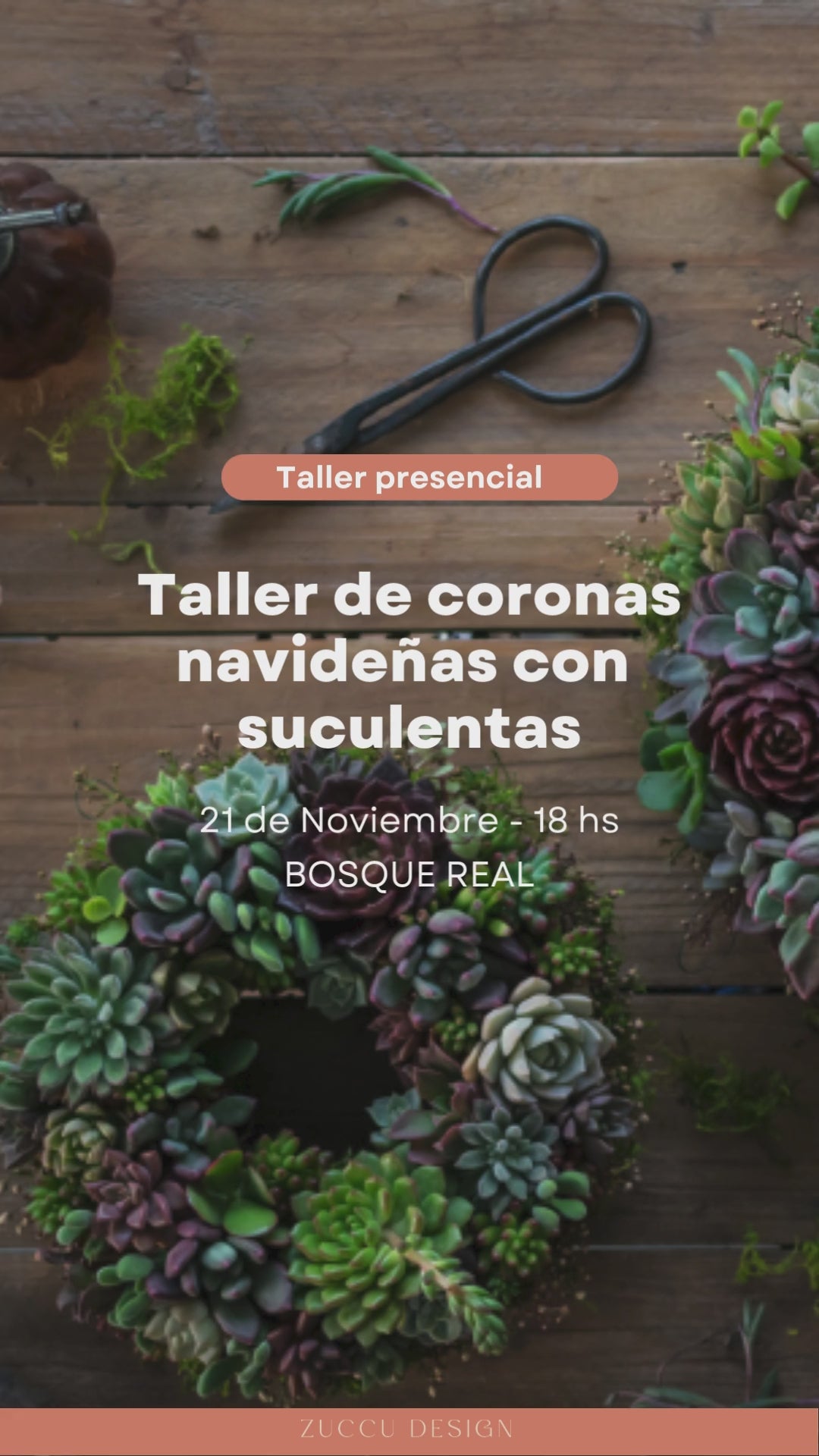 Taller Coronas navideñas con suculentas