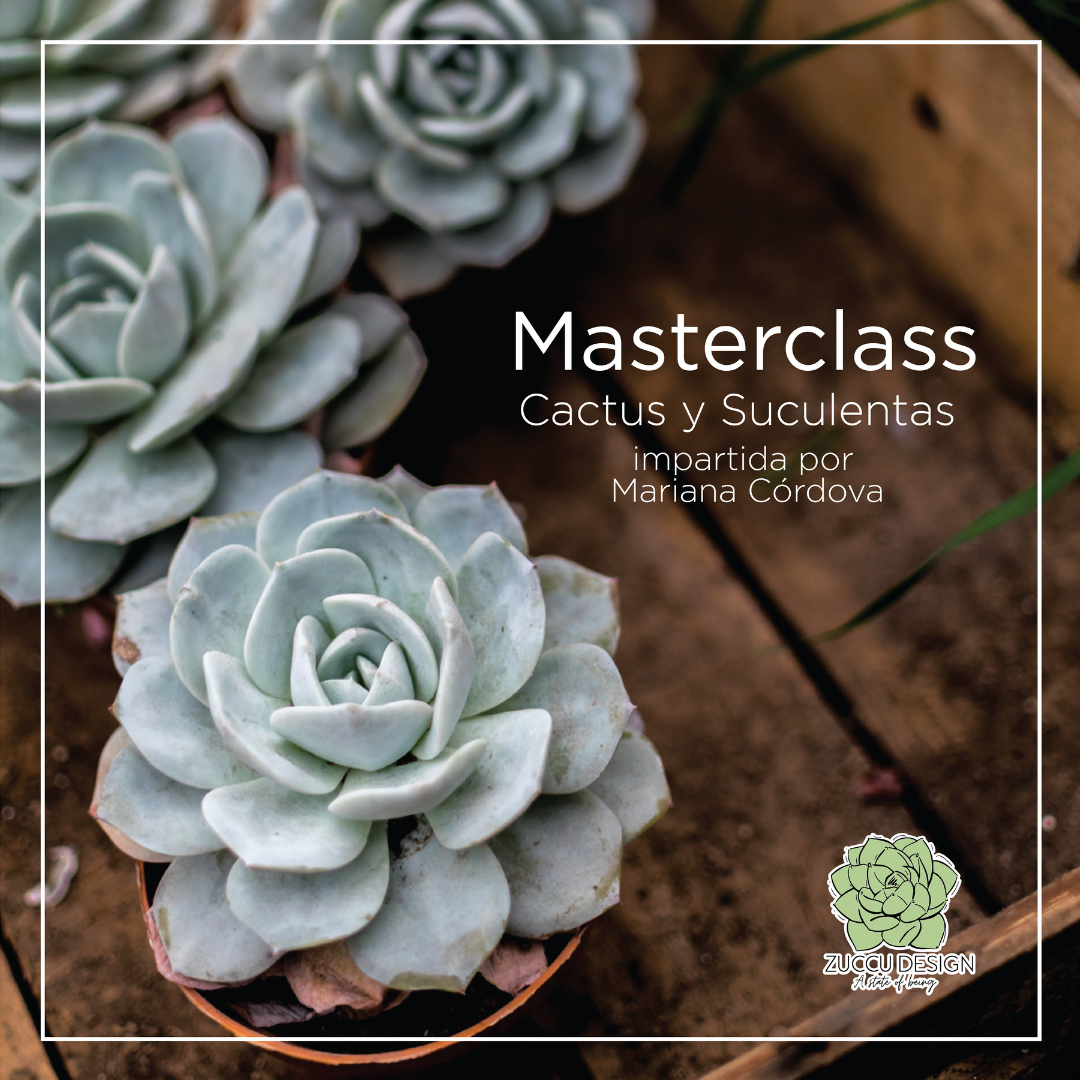 Masterclass: Cactus y Suculentas Online