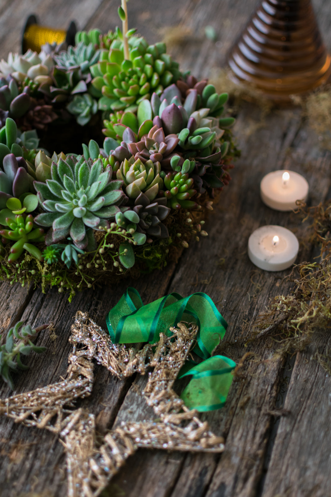 Corona de suculentas grande