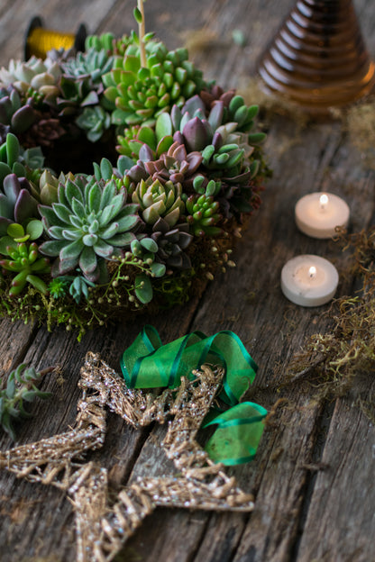 Corona de suculentas grande