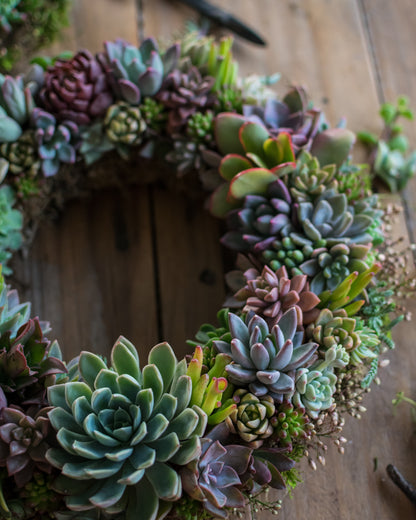 Corona de suculentas grande