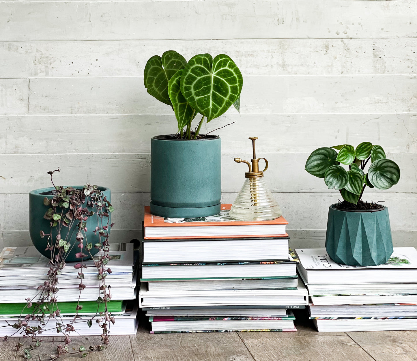 Maceta Clásica Cilindro mediana