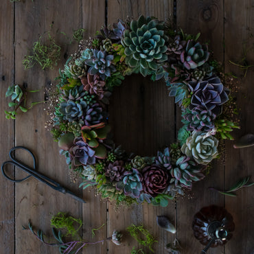 Corona de suculentas grande