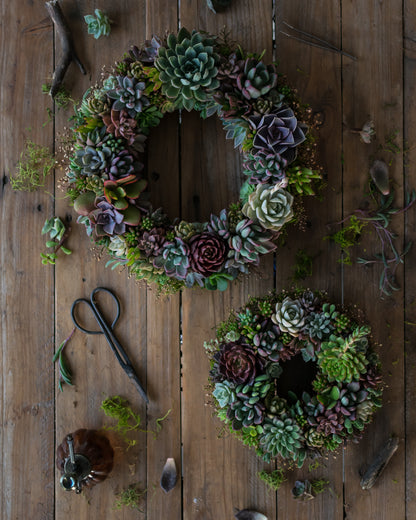 Corona de suculentas grande